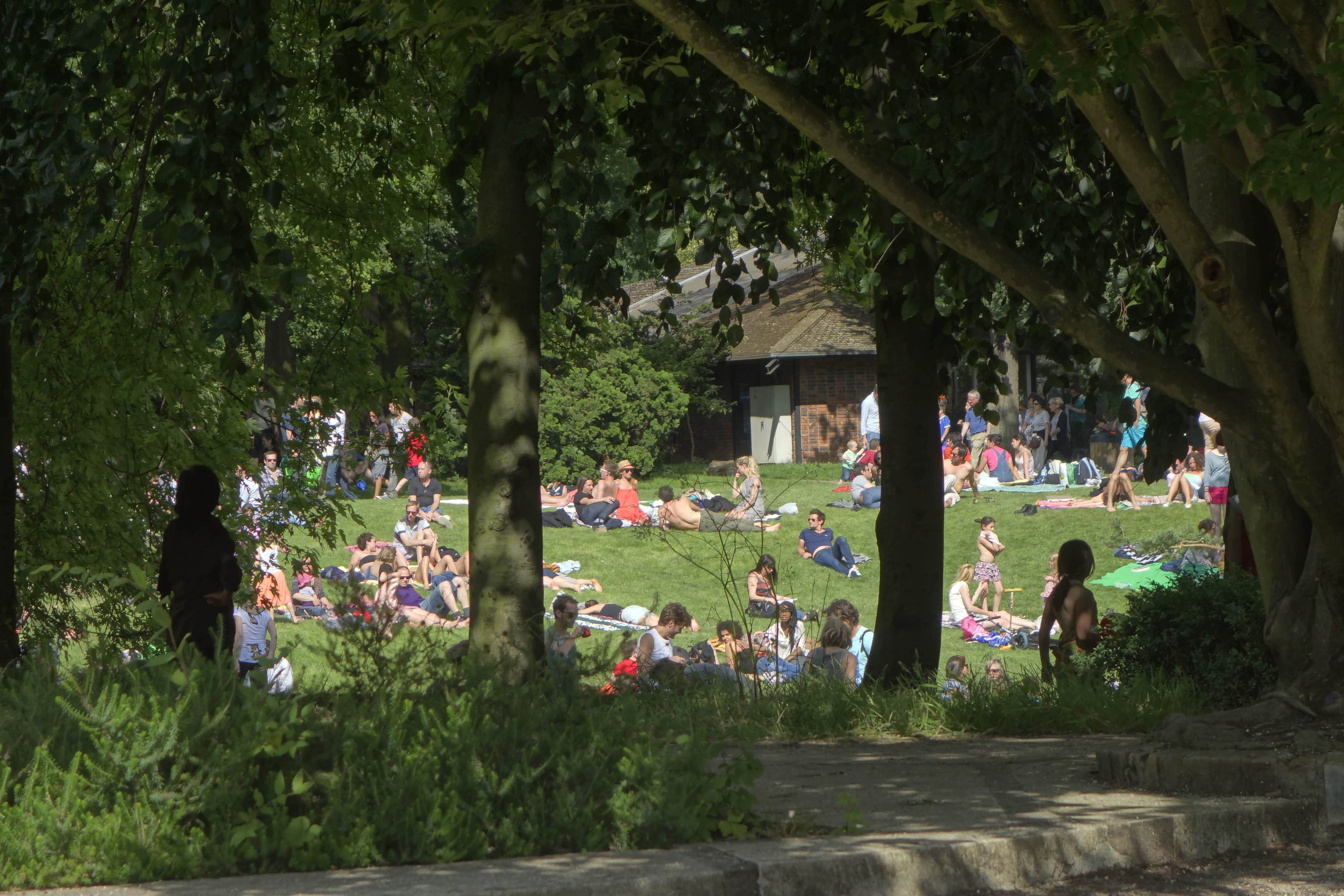 AUParcs115.jpg